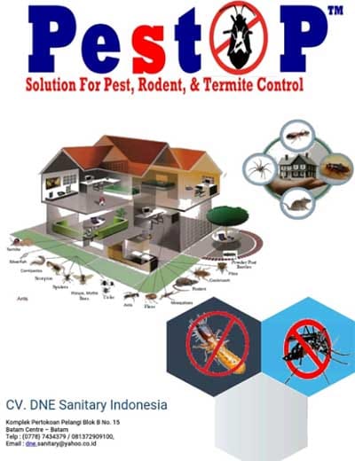 jasa anti rayap batam