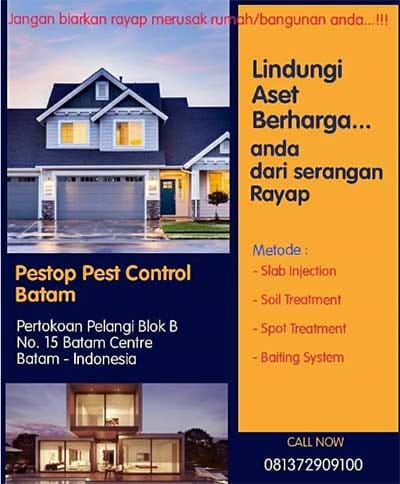 pest control batam2