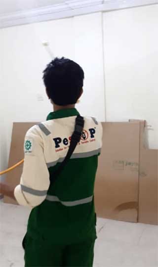 pest control batam4