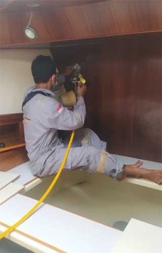 pest control batam6