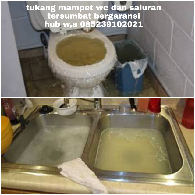jasa mampet raja ploong.4
