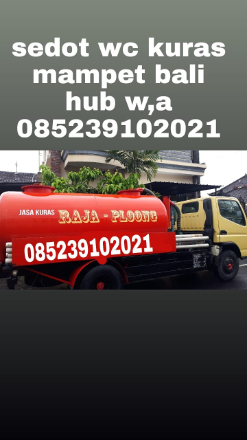 jasa mampet raja ploong.5
