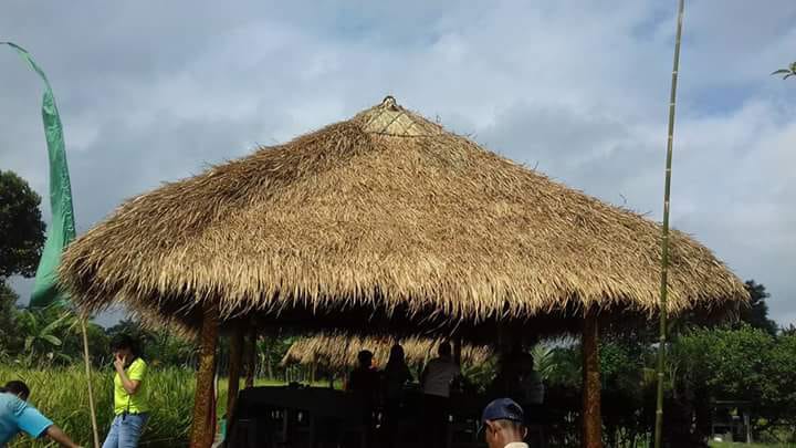Berapa Biaya Rata-Rata Pemasangan Atap Alang-Alang