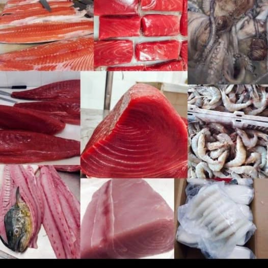 portofolio naura foods2