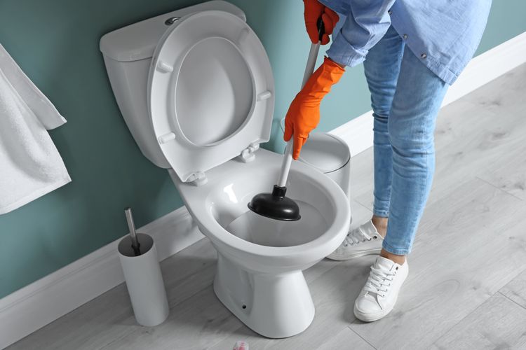 Alat Sedot WC Mampet